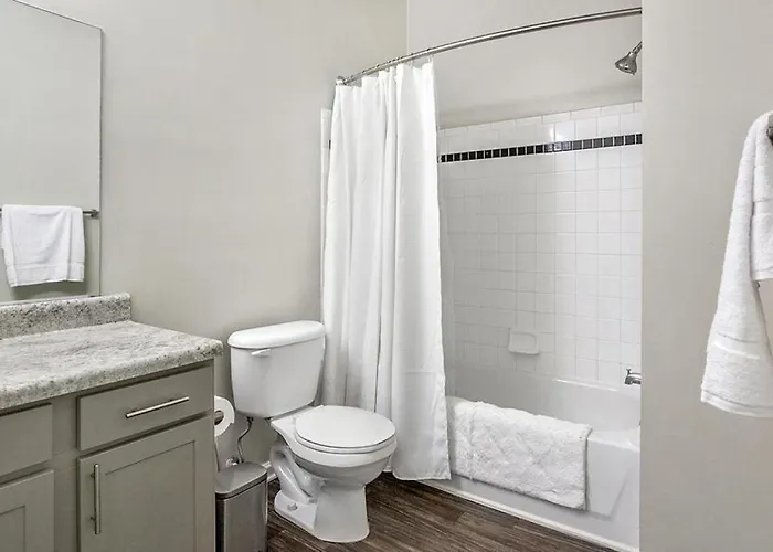 Landing Modern With Amazing Amenities Apartment Winston-Salem